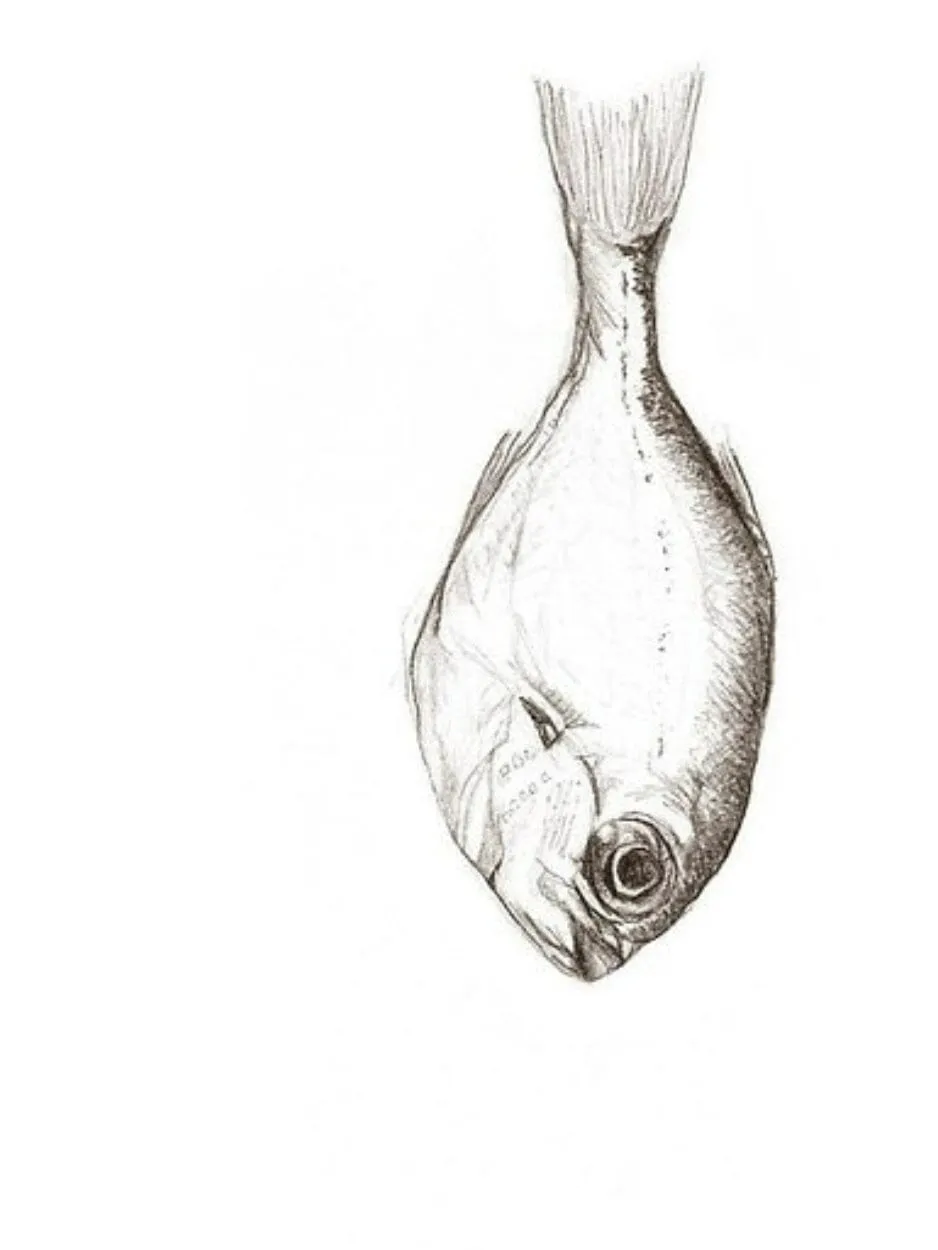 Big Fish - Small Greeting Card