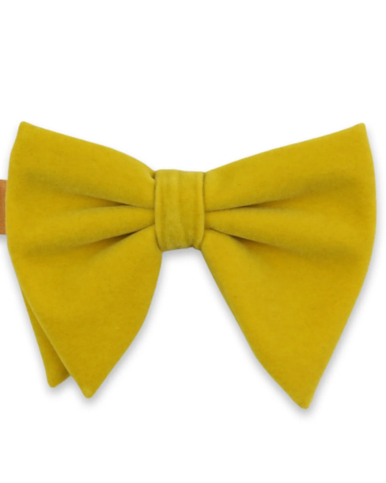 DCLIC Floppy Velvet Bow Tie - Mustard